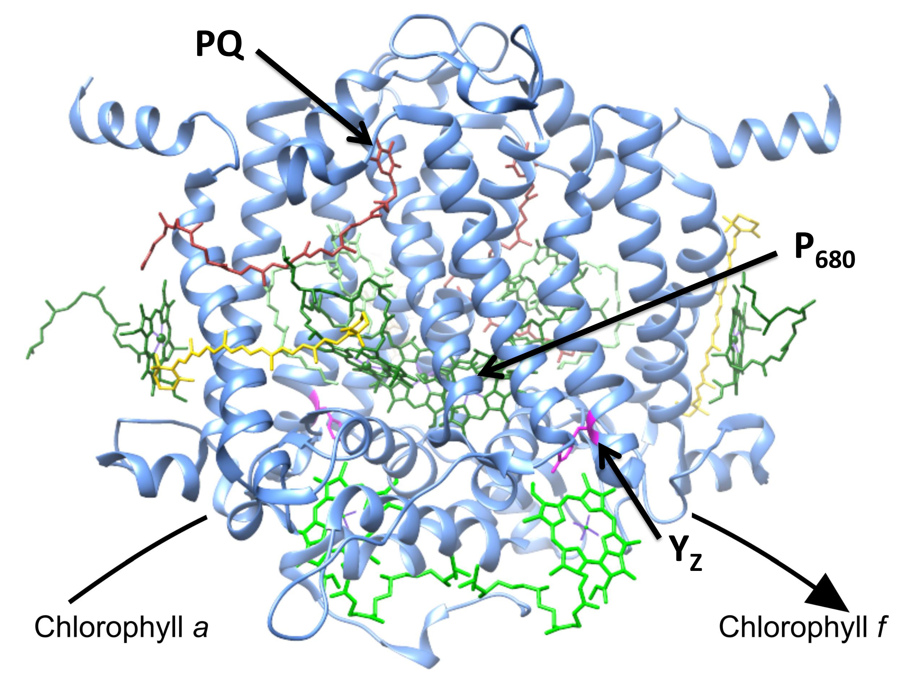 New clues could help scientists harness the power of